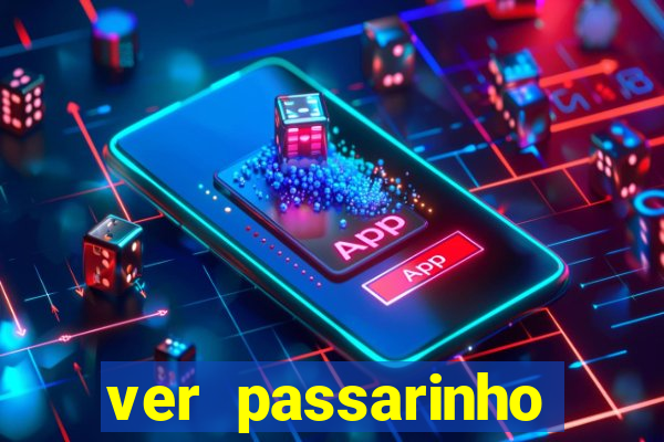 ver passarinho morto significado